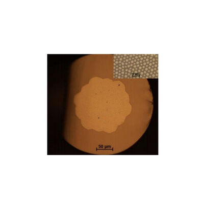 190×1250nm (UV) 300×2400nm (IR) Imaging fiber fiber Multi-core: 3000×100000 Numerieke diafragma (NA):>0.5